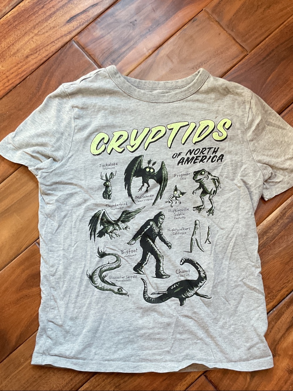 GAP Gray Cryptids of North America Graphic Tee